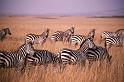 WT 1400 199-22 Kenya